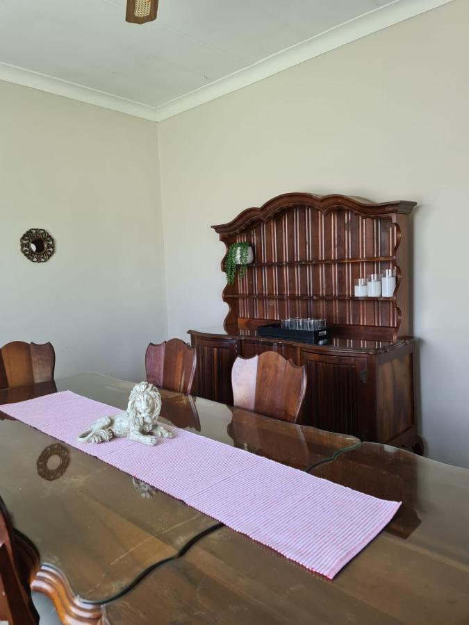 Lion * Bloemfontein