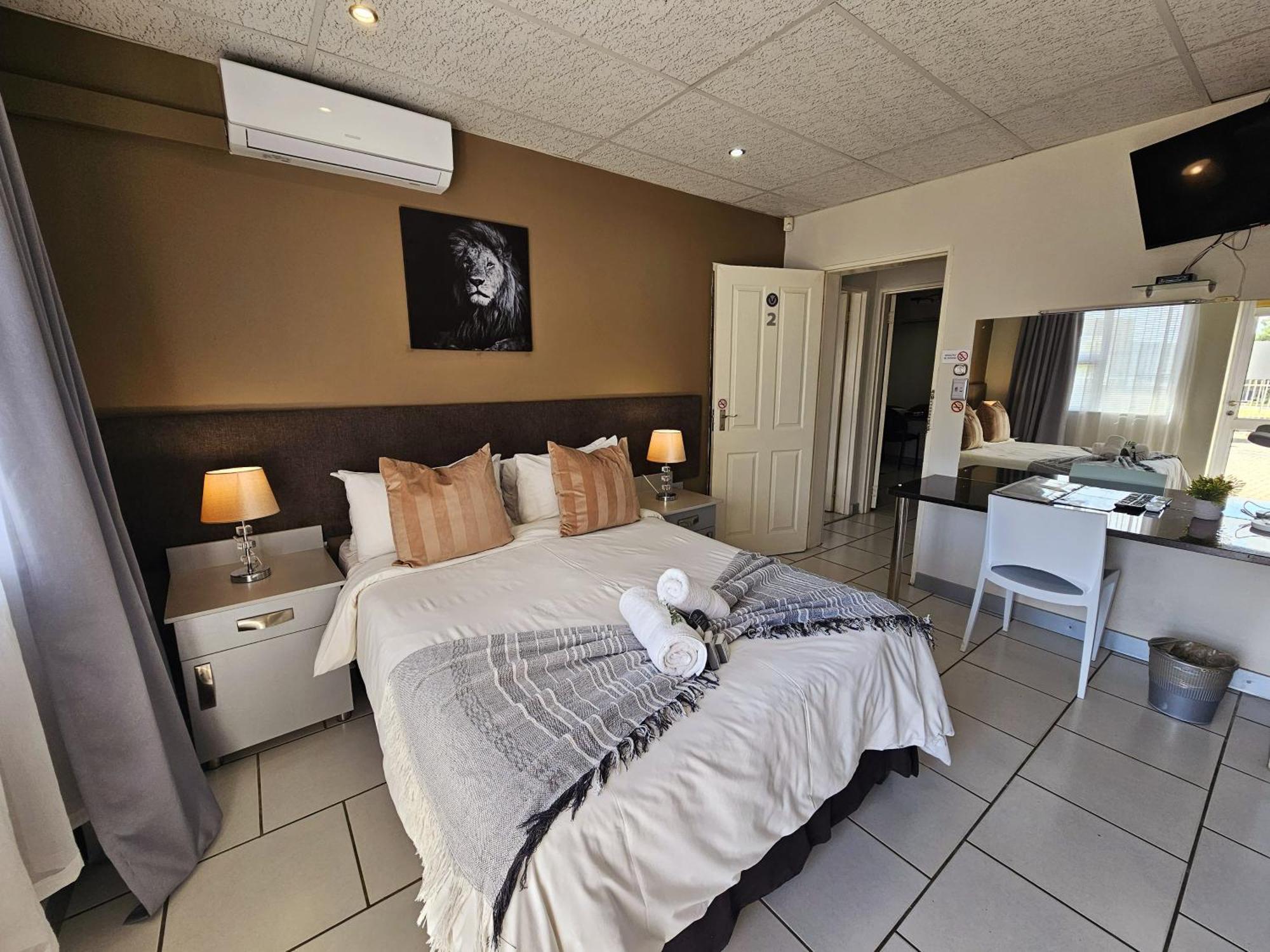 Lion * Bloemfontein