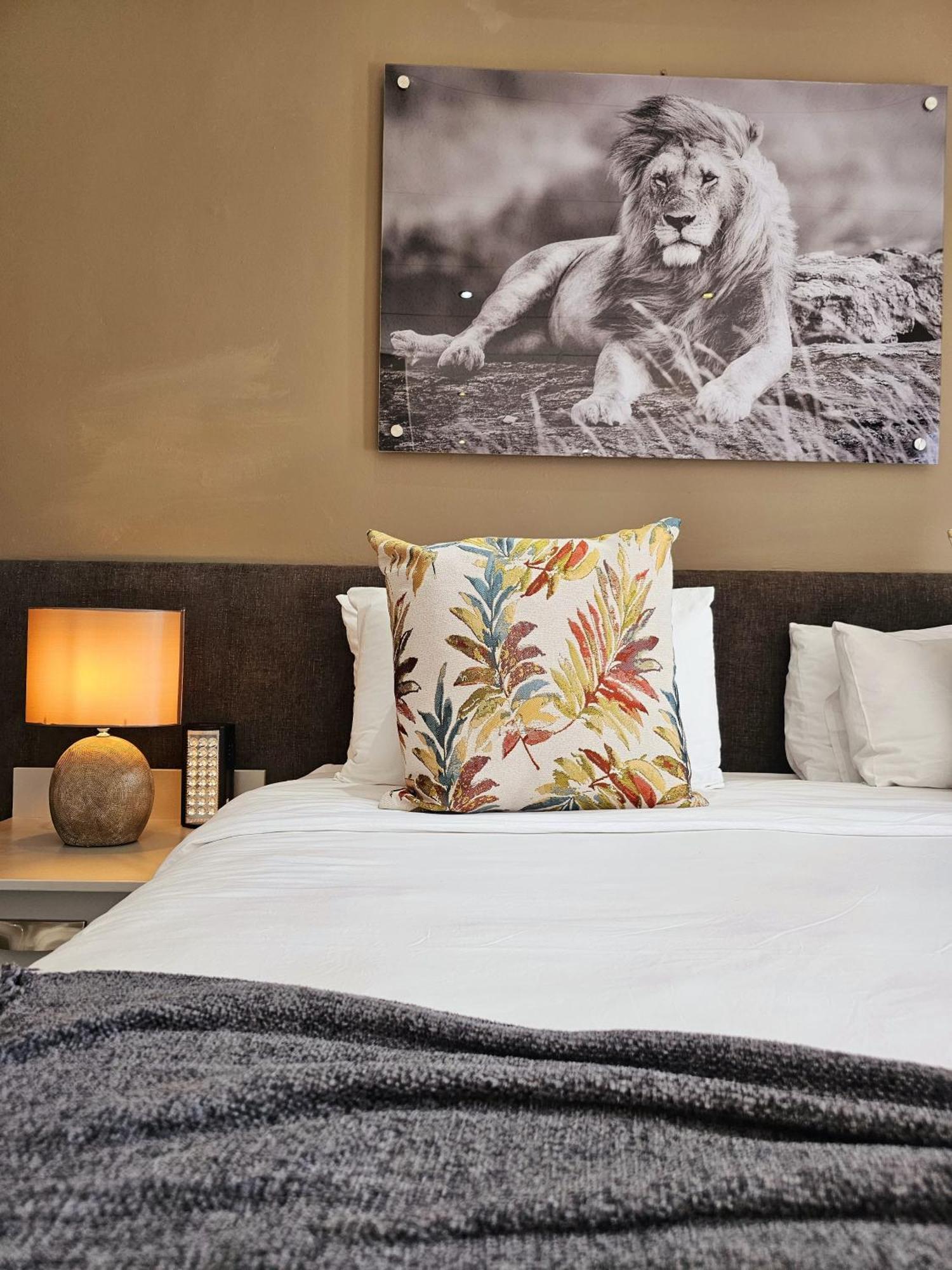 Lion * Bloemfontein